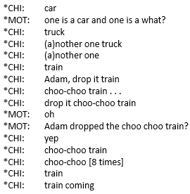 <p><strong>______________: Massive amounts of information (CHILDES) as it occurs naturally in first language acquisition</strong></p>