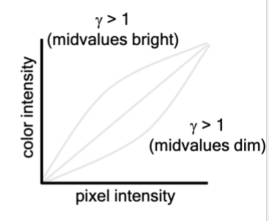 <p>LUTs can be “non-linear,” altering the function that relates the pixel value to a level of grey or other color. Each intensity is a function of pixel intensity raised to the gamma power</p>