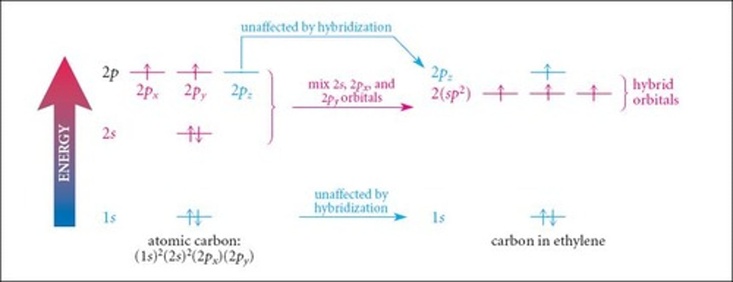 <p>sp2 hybridization.</p>