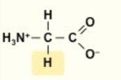 <p>G</p><p>nonpolar</p><p></p>