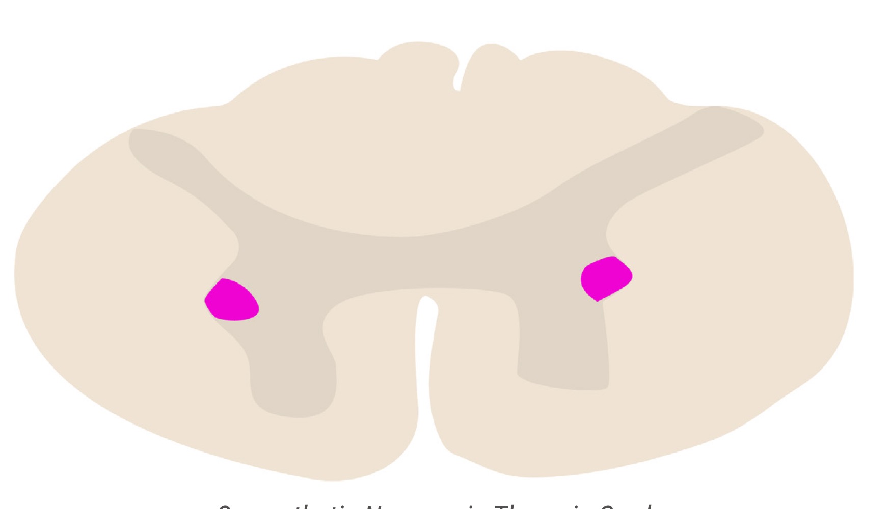 <p>name highlighted area </p>