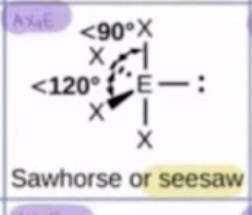 <p>seesaw</p>