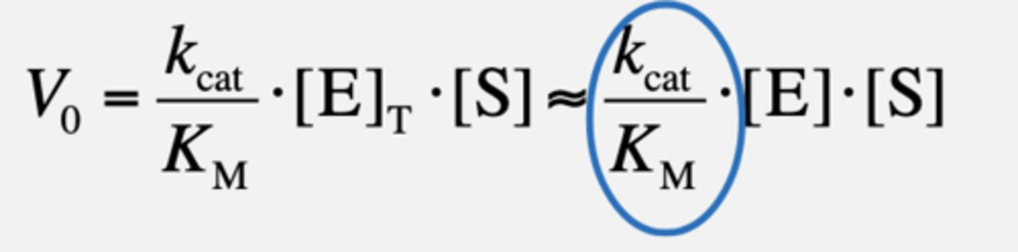 <p>Second-order reaction with kcat/KM being the second-order rate constant!</p>