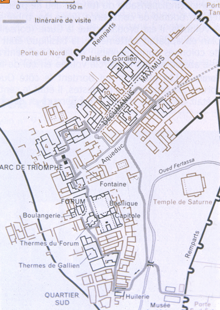 term image