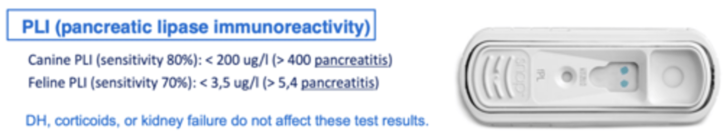 <p>PLI (pancreatic lipase immunoreactivity)</p>