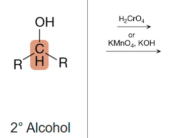 <p>What is the product of this reaction?</p>