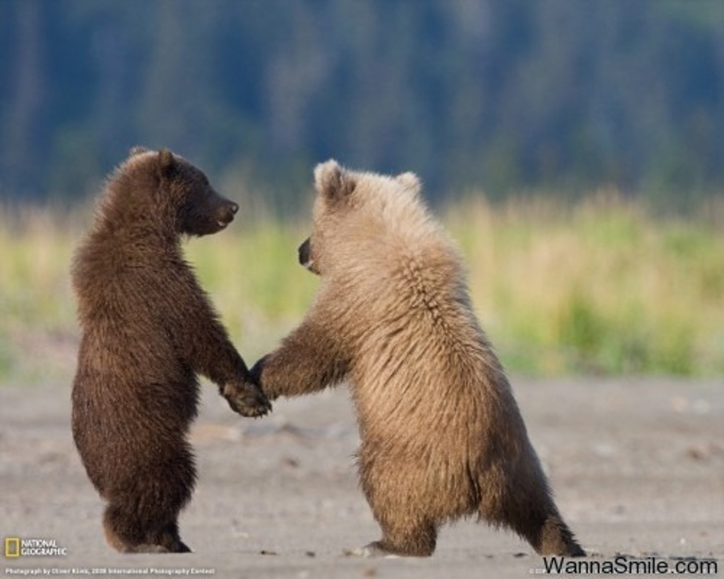 <p>to love; to like; to be fond of</p><p>ài</p>
