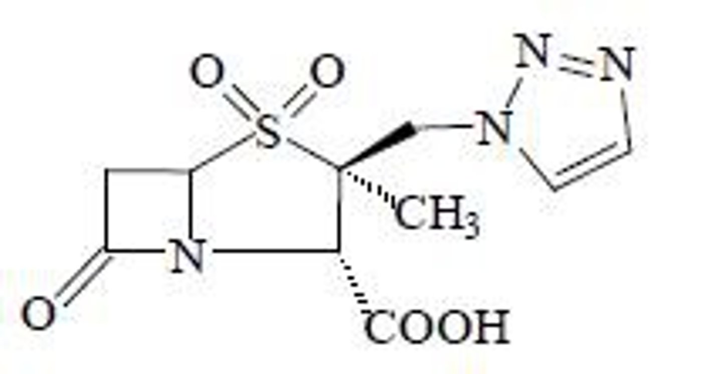 <p>Triazole ring</p>