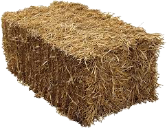 <p>Dried stalks of grain, used for animal bedding or straw hats.</p><p></p>