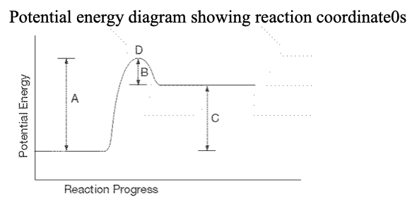 <p>27. ... which letter represents the location of the activated complex?</p><table style="min-width: 25px"><colgroup><col style="min-width: 25px"></colgroup><tbody><tr><td colspan="1" rowspan="1"><p class="p1">a. A &nbsp; </p><p class="p1">b. B &nbsp;</p><p class="p1"> c. C &nbsp; </p><p class="p1">d. D</p></td></tr></tbody></table><p></p>