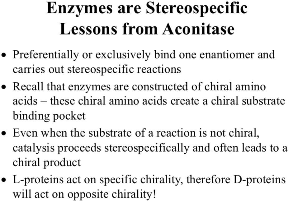 <p>Recall that enzymes are constructed of chiral amino acids</p>