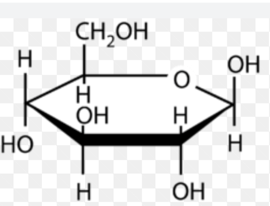 <p>what is this cyclic structures name? </p>