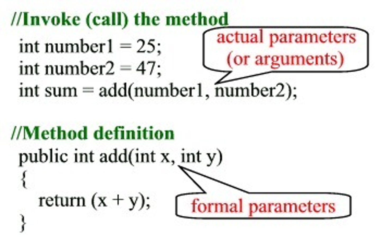 <p>A specific value or expression that appears inside parentheses in a method call.</p>