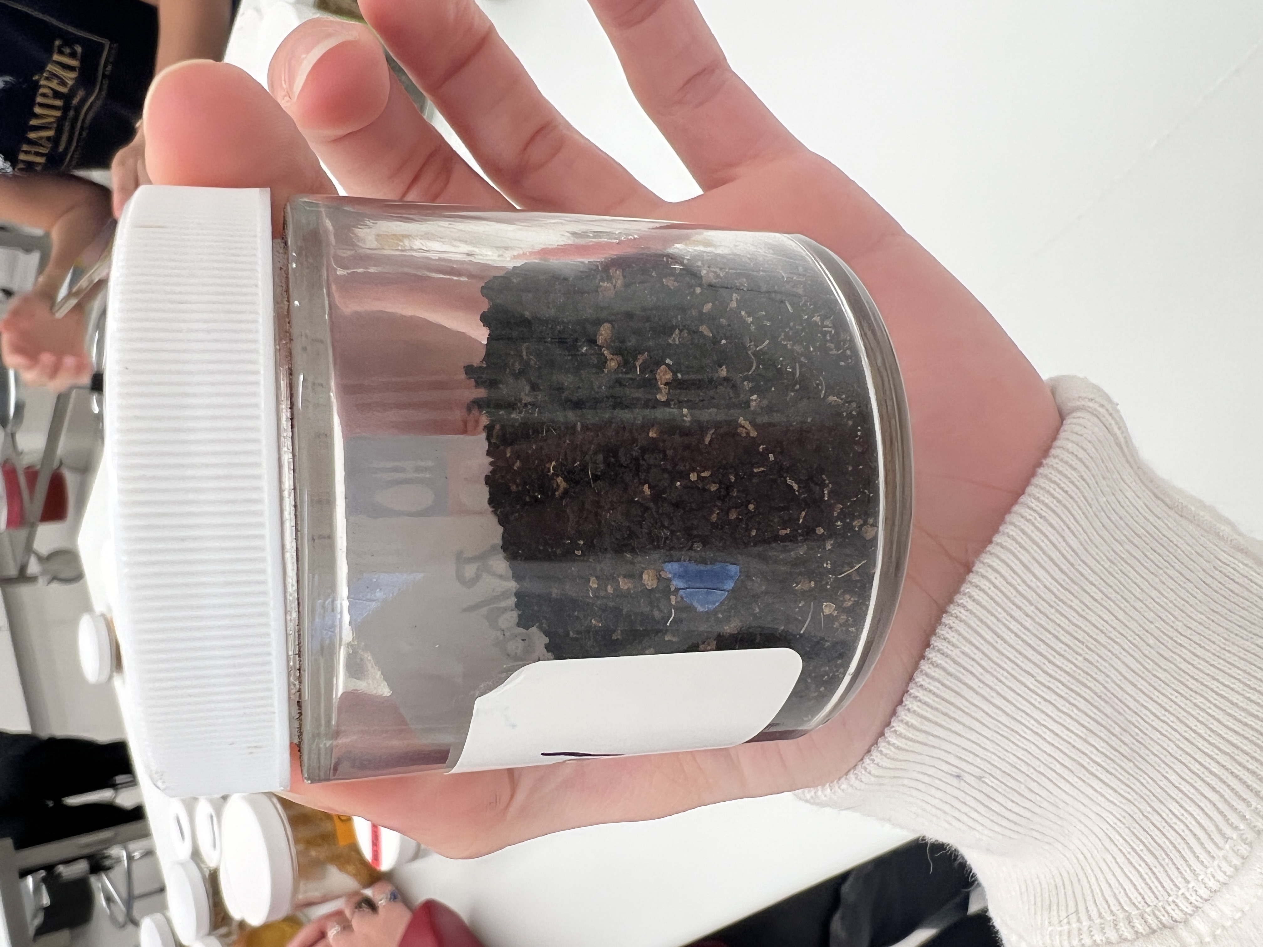 <ul><li><p>IFN # and category: 5 protein source</p></li><li><p>AAFCO category: animal protein product</p></li><li><p>appearance: dark brown pieces, looks like dirt</p></li></ul><p></p>