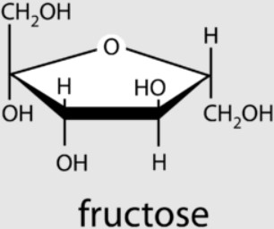 Fructose