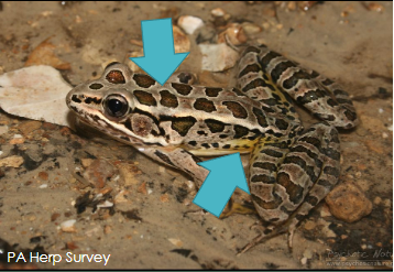 <p>What is this?</p>