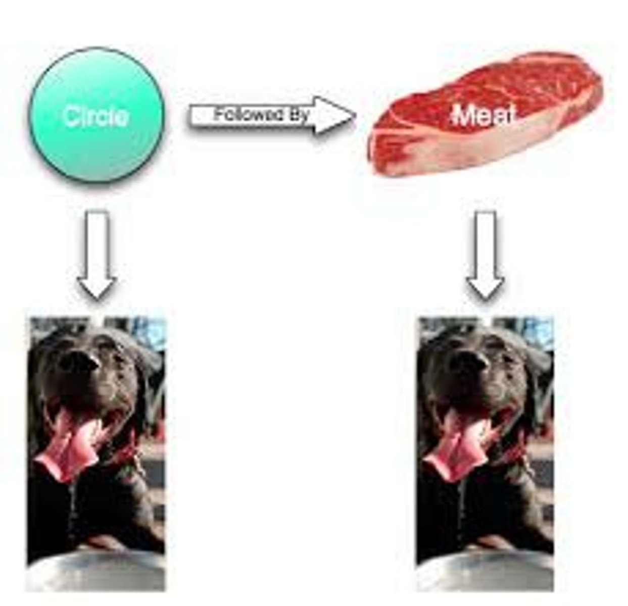 <p>in classical conditioning, the learned ability to distinguish between a conditioned stimulus and stimuli that do not signal an unconditioned stimulus.</p>