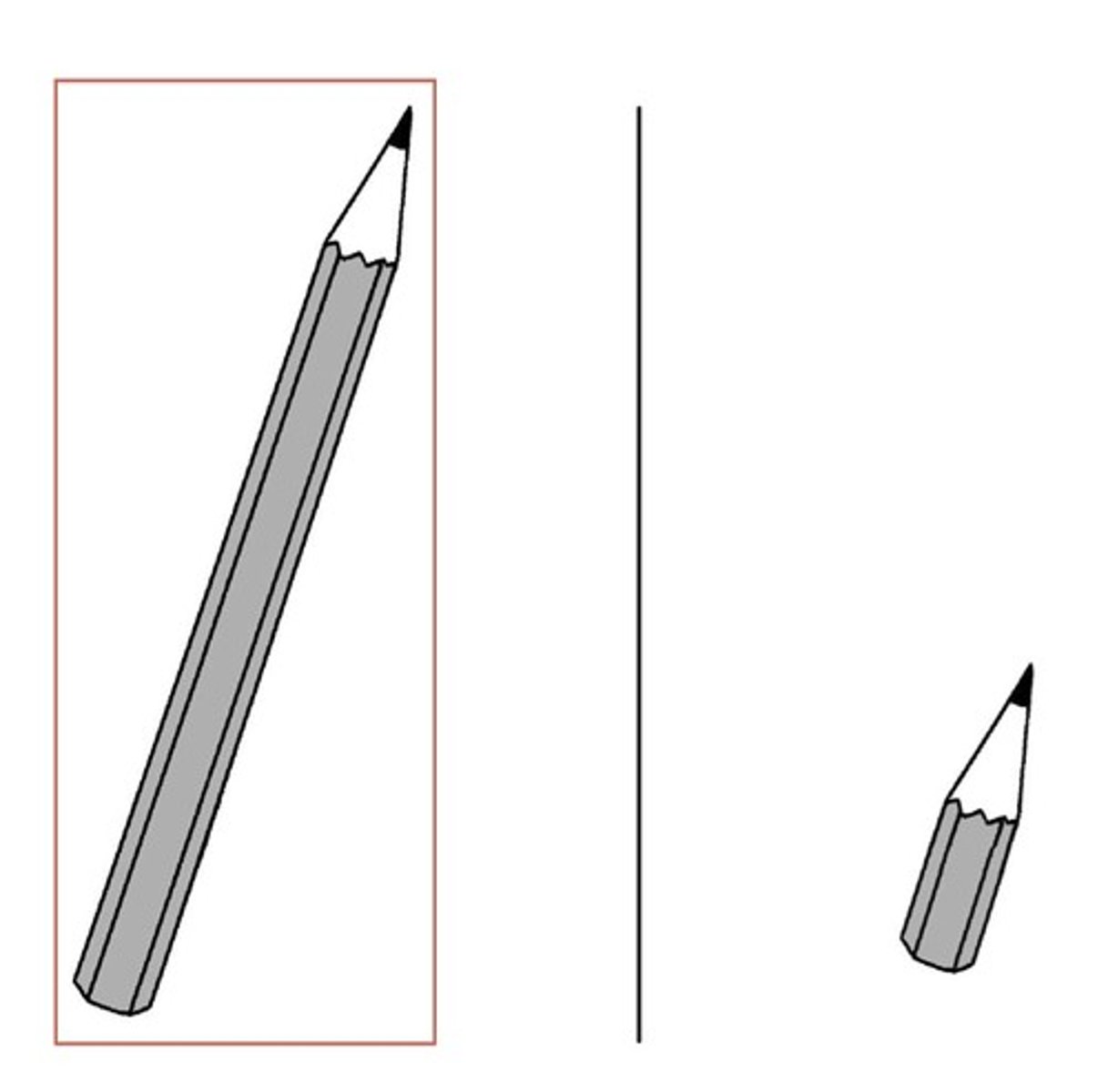 <p>long (length)</p>