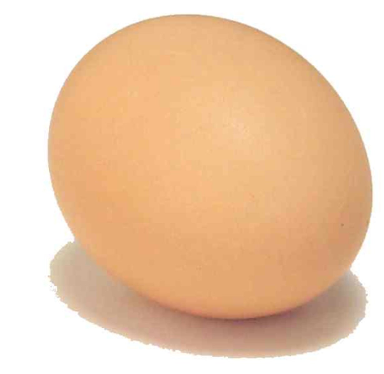 <p>an egg</p>