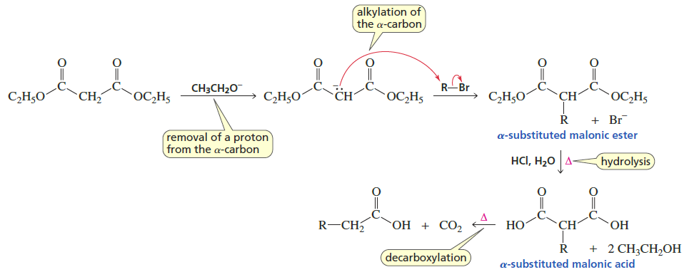 <p>Reactants/Reagents: Malonic acid diester, base (-OR matching ester), alkyl halide, acid, water, heat</p><p>Products: Carboxylic acid with # C of AH + 2 C’s from malonic acid diester, CO2</p><p>Enolate Formation → Alkylation → Hydrolysis → Decarboxylation</p>