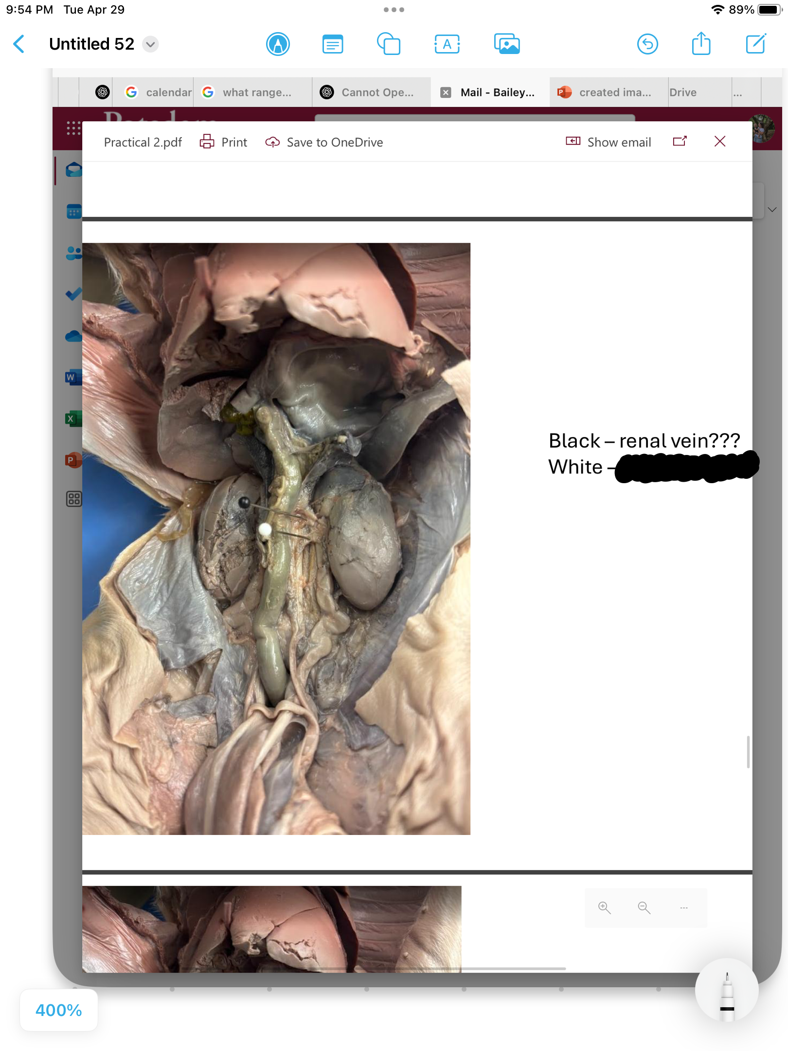 <p>label the area</p>