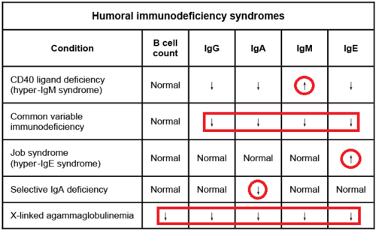 <p>IV antibodies given every 3-4wks or subQ daily</p>