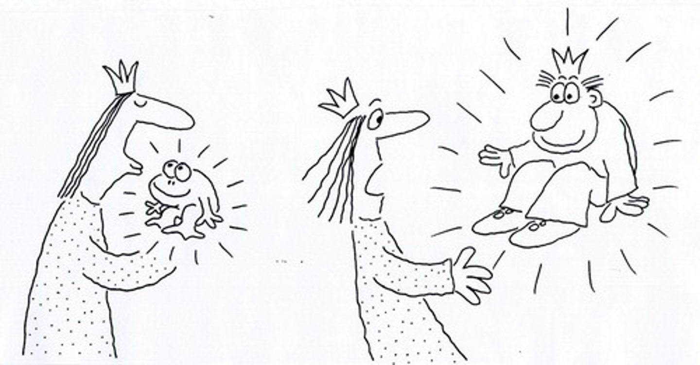 <p>(v): chuyển hóa thành</p>