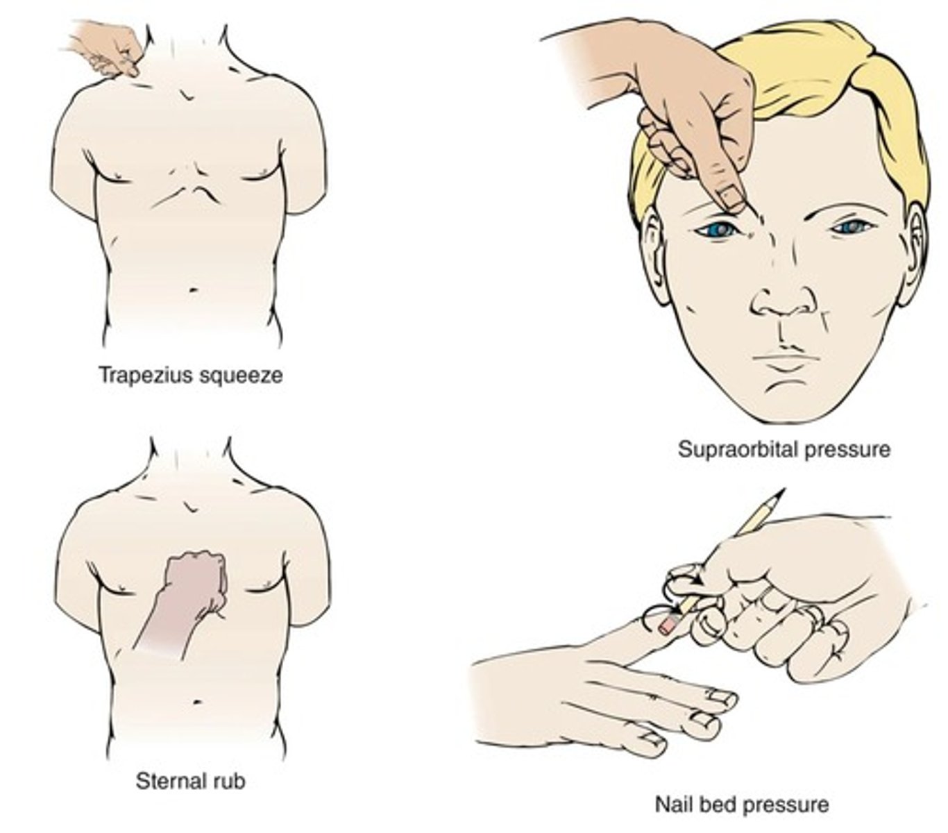 <p>Initial evaluation to monitor neurological status.</p>