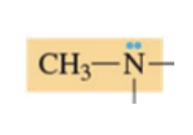 <p>which functional group is this molecule?</p>
