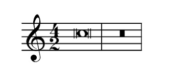 <p>8</p>