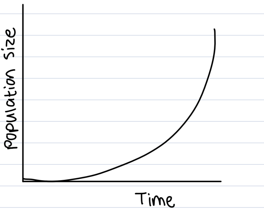 <p>J shaped curve, occurs in populations under ideal conditions when resources are unlimited, abiotic factors are favourable </p><p>Pattern normally seen in bacteria </p>