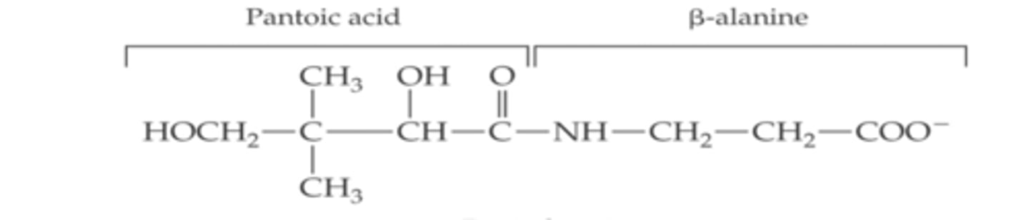 knowt flashcard image