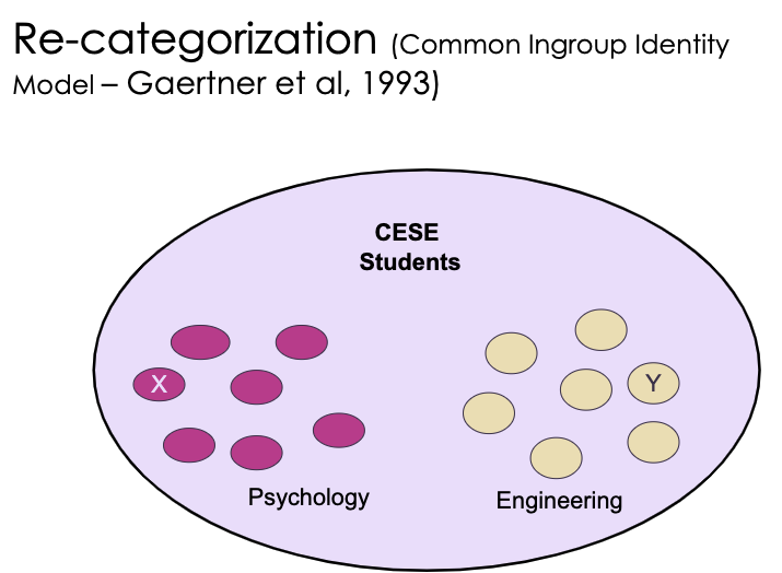 <p>Maintains a common in-group identity go reduce prejudice and perceive both in-group and out-group members as belonging to one superordinate category. Doesn’t always represent everyone equally with not everyone being captured by that broad identity.</p>