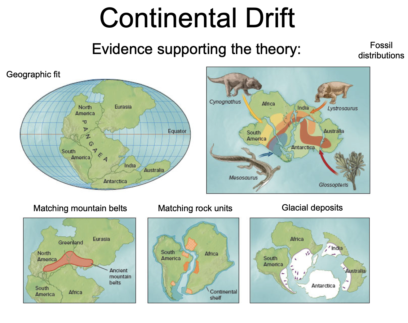 “Puzzle-Piece” fit of continents, their rocks/mountain ranges/glacial deposits, and their fossil records