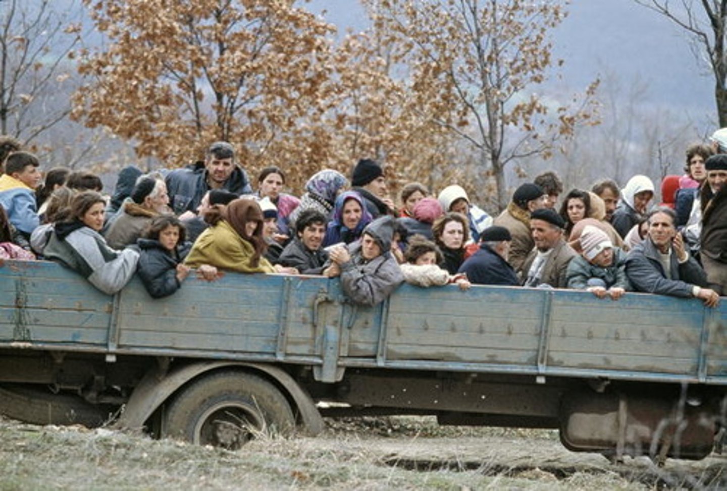 <p>refugees</p>
