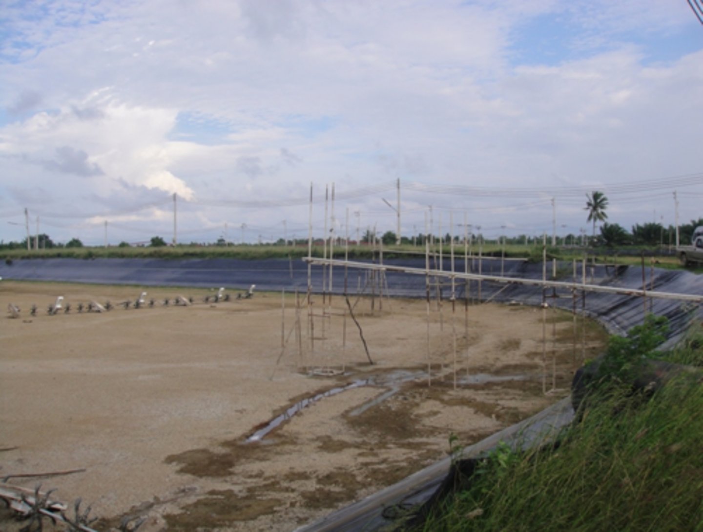 <p>- Salmonids</p><p>- Tilapia</p><p>- Shrimp/Prawns</p><p>- Catfish</p>