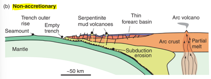 <p>removal of material — steeper, faster subduction, thin sediments, trench rollback</p>