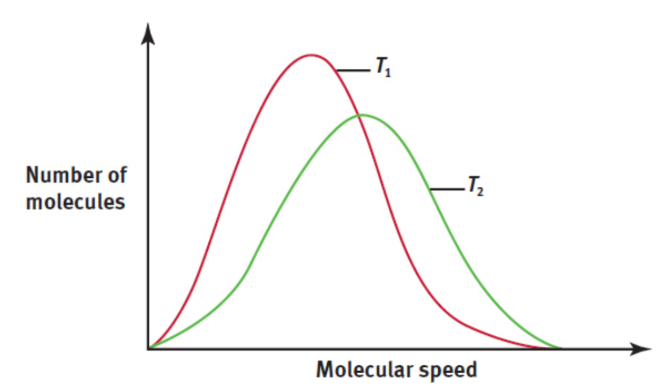 <p>shows the distribution of gas particle speeds at a given temperature; T<sub>2</sub> &gt; T<sub>1</sub></p>