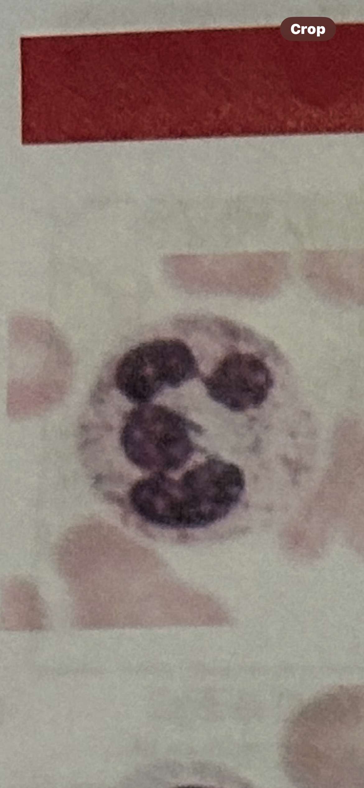 <p>What is this</p>