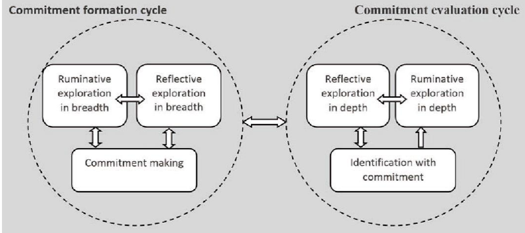 <p>What is the dual cycle model of identity?</p>
