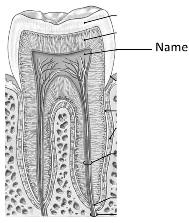 <p>What layer is the line pointing to </p>