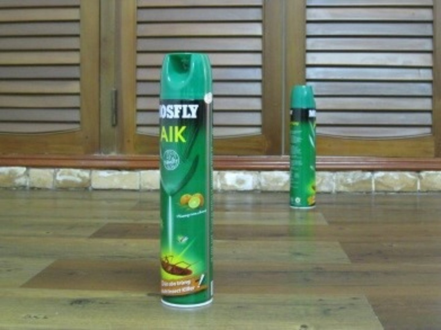 <p>Perception of an object as the same size regardless of the distance from which it is viewed.</p>