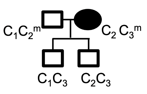 <p>There are 3 known alleles for the gene C (C1, C2 and C3).</p><p>Consider this family pedigree that shows both the genotype and phenotype of each individual. Methylation state is shown for Gen I only.  Note that carrier status is not indicated.</p><p>What type of imprinting is this pedigree consistent with?</p><p>autosomal recessive</p><p>it is not possible to determine with the information provided</p><p>autosomal dominant</p><p>maternal imprinting</p><p>paternal imprinting</p>