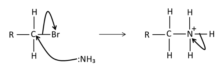 <p>multiple substitutions, then secondary, tertiary ammonium ions might form, hence produces a low yield of primary amine, use excess ammonia to maximise the yield</p>