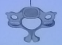<ul><li><p>Located at neck</p></li><li><p>7 vertebrae</p></li><li><p>Small and light</p></li><li><p>Small body, larger foramen</p></li><li><p>Short and bifid (split)</p></li><li><p>supports the head, allows neck movement</p></li></ul><p></p>