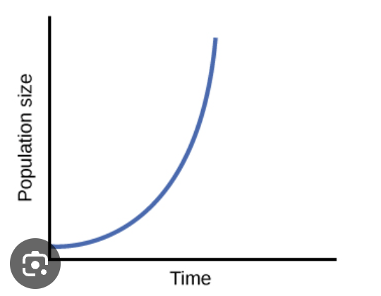 <p><span>Rate of increase of a population under ideal conditions</span></p>