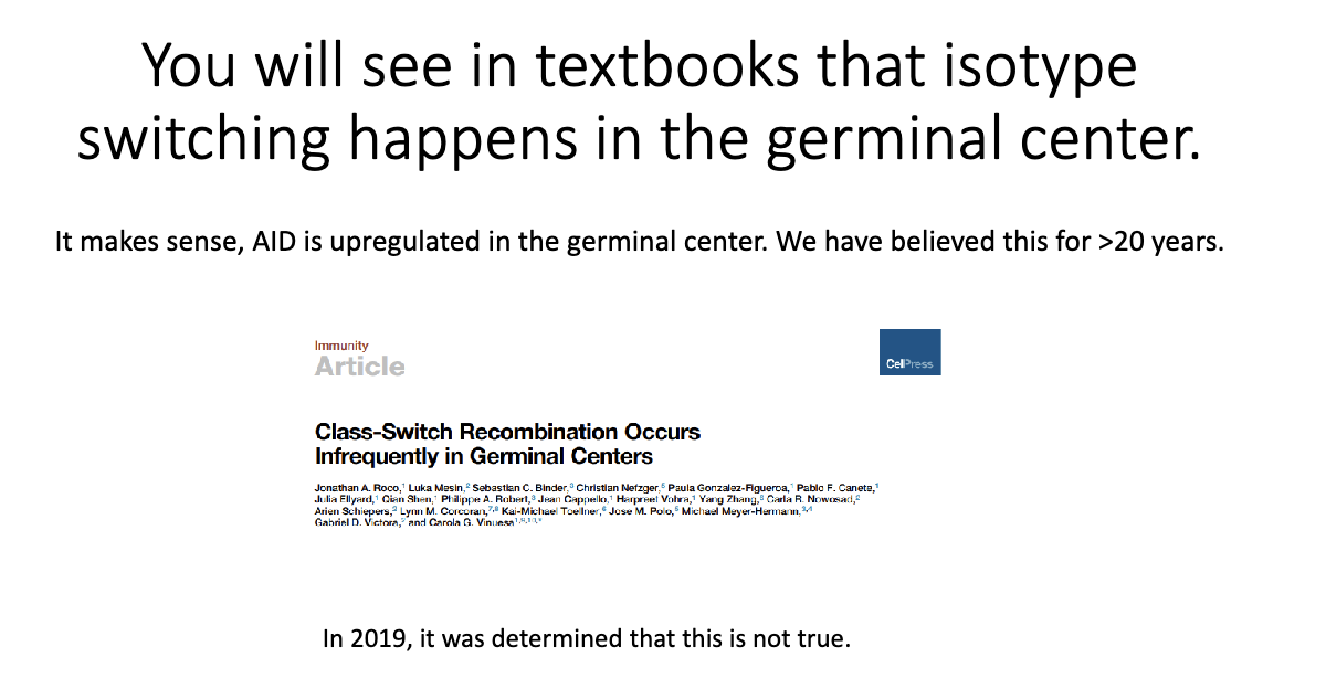 <ul><li><p class="isSelectedEnd"><strong><span>Textbooks say yes</span></strong><span>, but this is outdated.</span></p></li><li><p class="isSelectedEnd"><span>Coróla Vinuesa (2019) showed CSR occurs </span><strong><span>before</span></strong><span> B cells enter germinal centers.</span></p></li><li><p><span>Switching happens at the </span><strong><span>T–B border</span></strong><span>, immediately after TFH–B cell interaction.</span></p></li></ul><p></p>