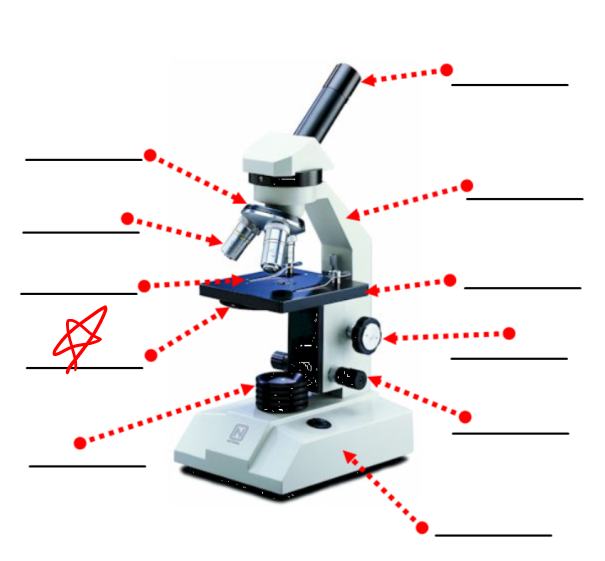 <p>this part of a microscope</p>