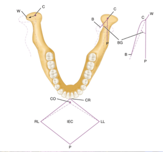 <p>- aka latertrusion<br>- condylar movement on the working side in the horizontal plane (C--&gt;W)</p>