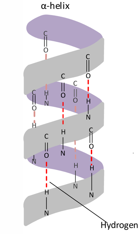 <ul><li><p>4th</p></li><li><p>Twist</p></li></ul>